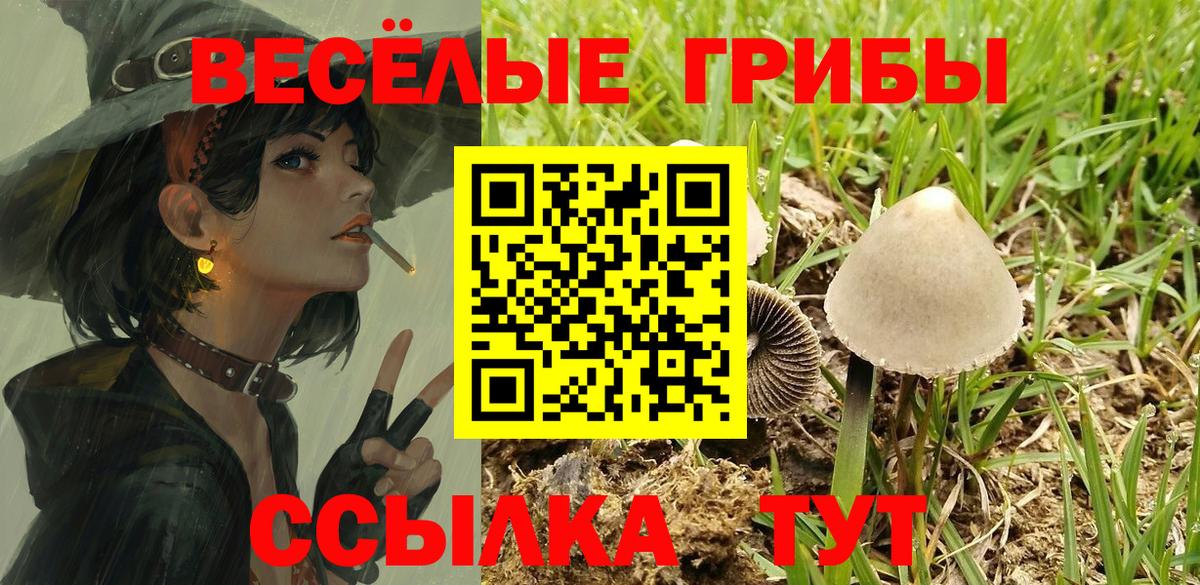 Галлюциногенные грибы прущие грибы  Галлюциногенные грибы мухоморы  Вход с VPN  Салехард 