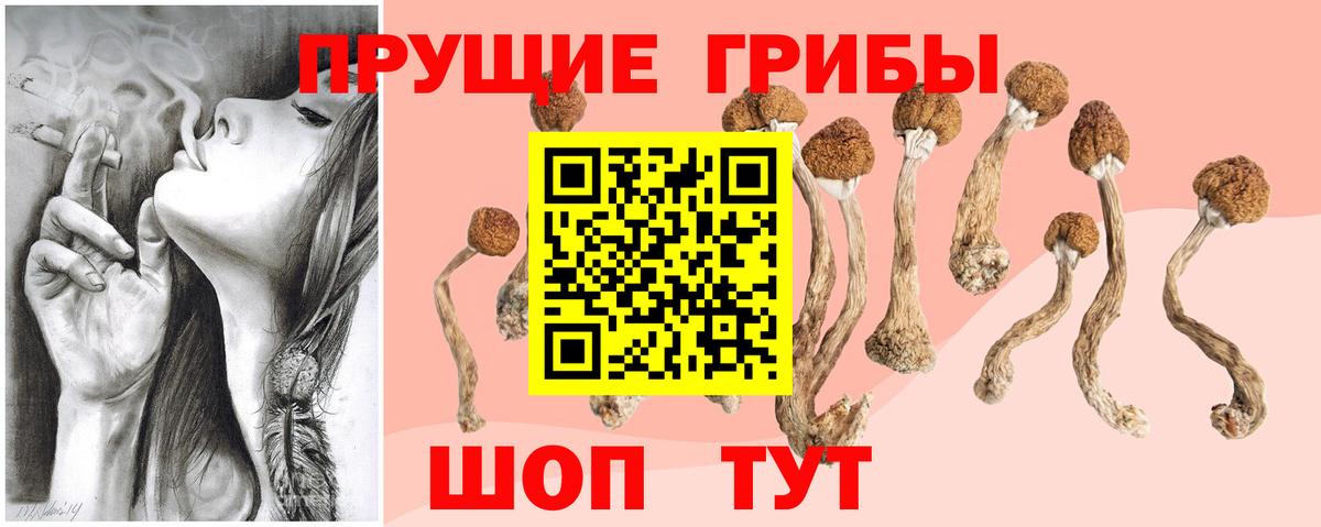 Псилоцибиновые грибы MAGIC MUSHROOMS Салехард
